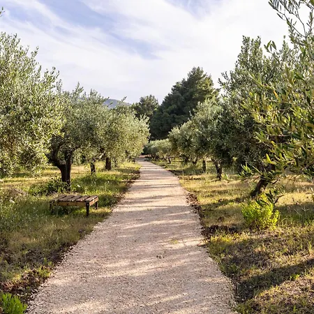 Casa Jo - A 5 Minuti Dalla Con Piscina